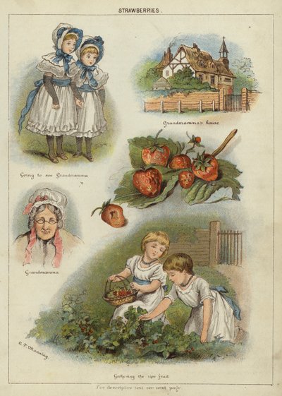 Jahody (chromolitho) od Miss Eliza F. Manning