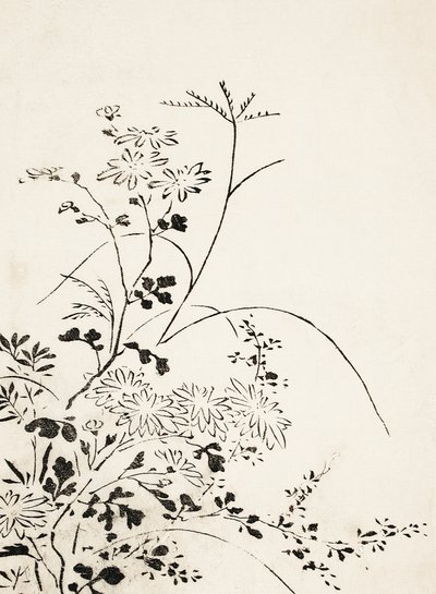 Podzimní květiny a trávy (1762) od Miyazaki Yuzen