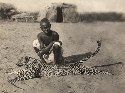 „Budování říše“ ve fašistickém věku: domorodec s leopardem, 09.05.1936 (černobílá fotografie) od Modestino Baldinetti