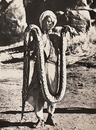 „Budování říše“ ve fašistickém věku: domorodec s krajtou, 09.05.1936 (černobílá fotografie) od Modestino Baldinetti