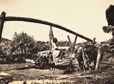 „Budování říše“ ve fašistickém věku: domorodá Noria, 9.5.1936 (černobílá fotografie) od Modestino Baldinetti