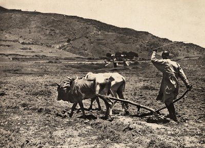 „Budování říše“ ve fašistické době: orba na altopianu, 9.5.1936 (čb foto) od Modestino Baldinetti
