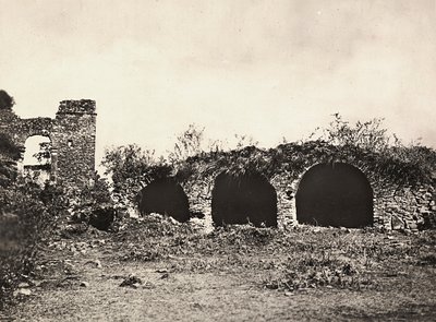 „Budování říše“ ve fašistickém věku: příkop lvů na hradě krále Fasiladas v Gondar, Etiopie, 09.05.1936 (č/b foto) od Modestino Baldinetti