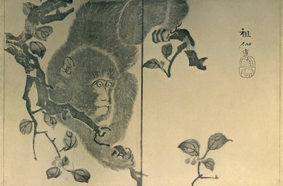 Opice, 1815, 1924. od Mori Sosen