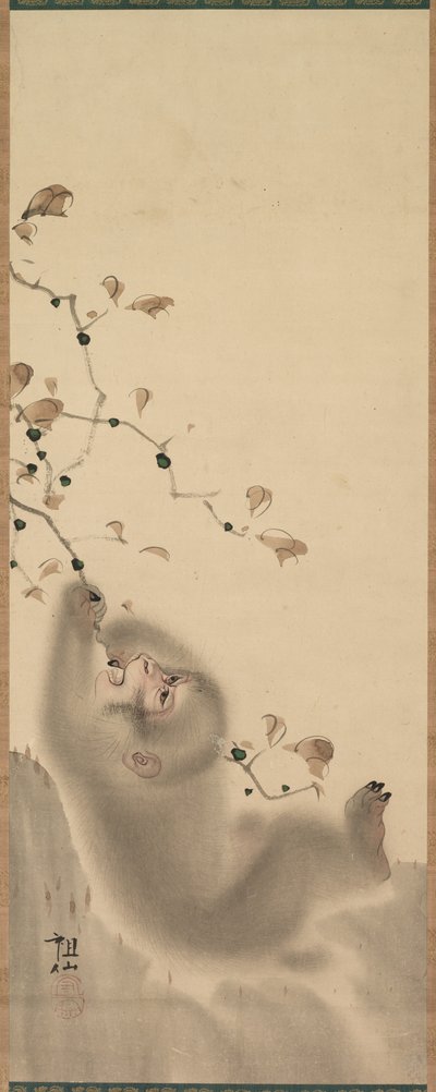 Opice visící na větvi, 1780. od Mori Sosen