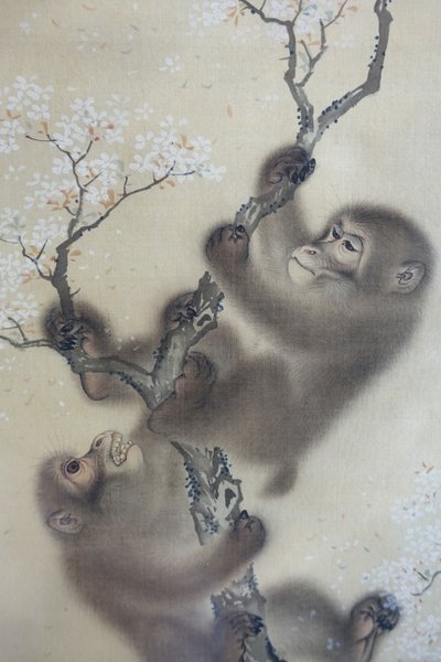Opice na rozkvetlé třešni, 1 ze 2, Mori Sosen, Japonsko, období Edo, počátek 19. století, tuš a barva na hedvábí - Arthur M. Sackler Museum, Harvard University - DSC01127 od Mori Sosen