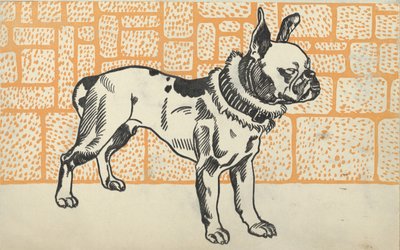 Pitbull teriér, 1912. od Moritz Jung
