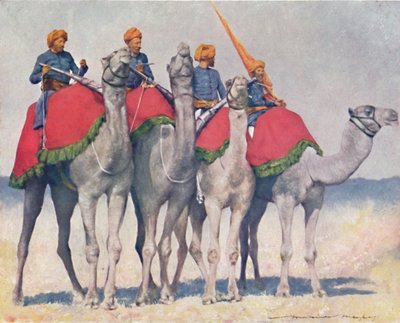 „Velbloud z Alwaru“, 1903 od Mortimer L Menpes