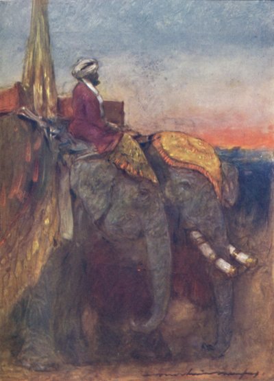 "Jaipur Elephants", 1903 od Mortimer L Menpes