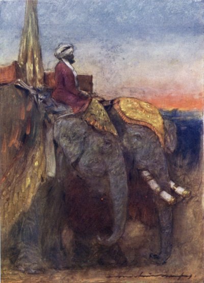Jaipur Elephants (barevné litho) od Mortimer Ludington Menpes