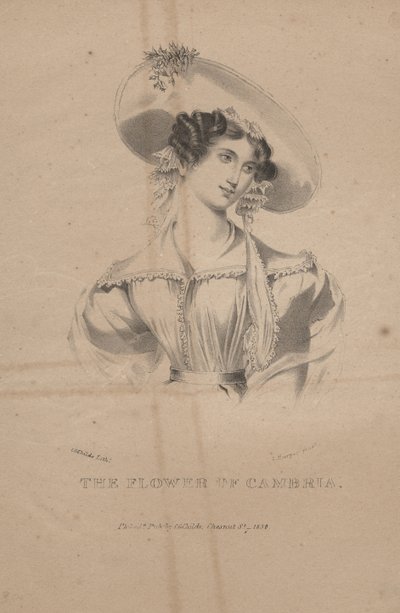 Květ Cambrie, litho od C.G. Děti, 1830 od Moses Swett
