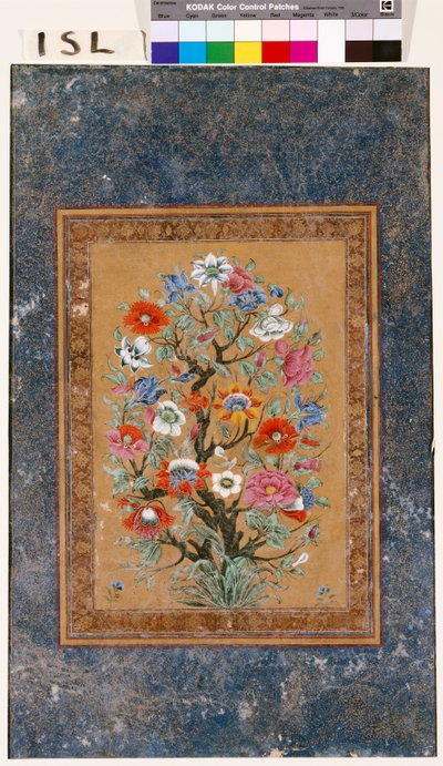 Mýtická rostlina od Mughal School