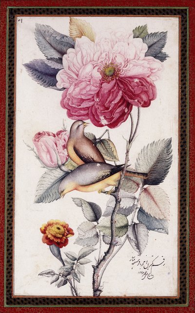 Gul-o Bulbul, c. 1849-50 (akvarel na papíře) od Muhammad Baqir