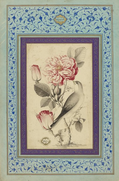 Růže a slavík, konec 18. století (inkoust a barva na papíře) od Muhammad Baqir