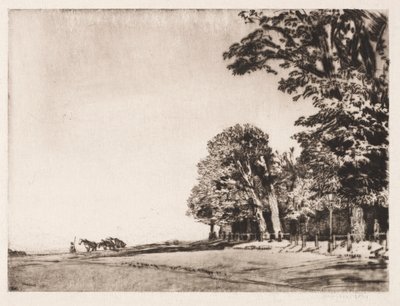Hampstead Heath od Muirhead Bone