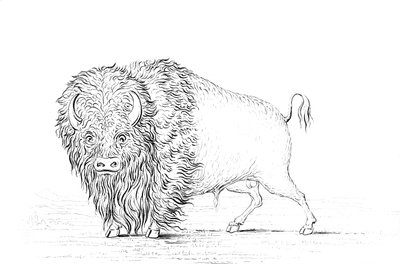Buffalo, 1841. od Myers and Co