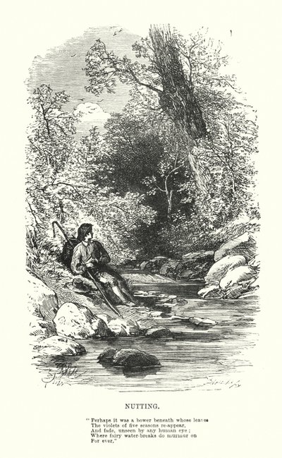 William Wordsworth: Nutting (rytina) od Myles Birket (after) Foster