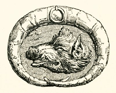 Kančí hlava Carol od Myles Birket Foster