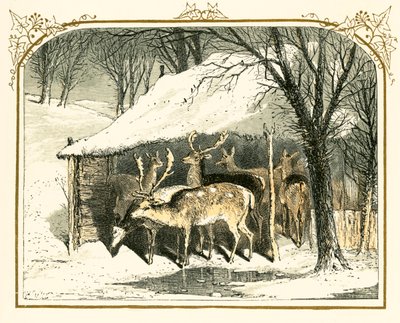 Jelen ve sněhu od Myles Birket Foster