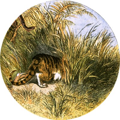 Ilustrace k filmu „Opuštěná vesnice“ od Myles Birket Foster