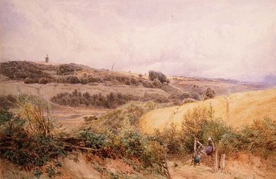 Letní krajina poblíž Haslemere, Surrey od Myles Birket Foster