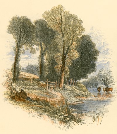 Nedělní procházky od Myles Birket Foster