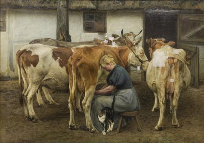 Dojení krav. Západní Jutsko od N.P. Mols