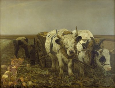 Sklizeň řepy od N.P. Mols