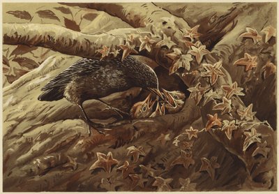 Hlučná školka (litho) od N. Parker
