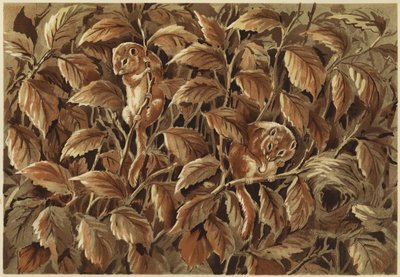 Dorothy, péro a plch (litho) od N. Parker