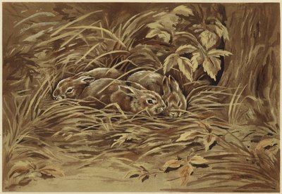 Malí zajíci (litho) od N. Parker