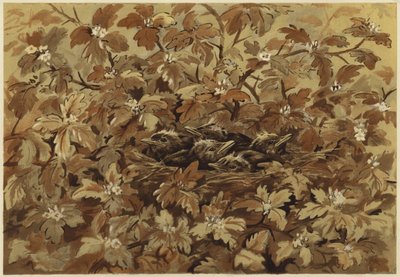 Kos doma (litho) od N. Parker