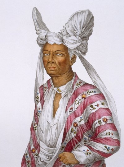 Naba-Leba, královna ostrova Solor, u Timoru, deska 25 z cesty za objevy do australských zemí, ryl B. Roger, hospoda. 1800-04 od N. Petit