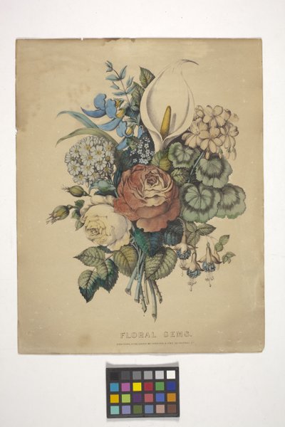 Floral Gems (ručně kolorovaná litografie) od N. and Ives J.M. (1824 95) Currier