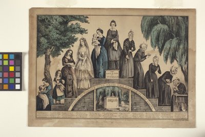 Život a věk ženy / Fáze života ženy od kolébky po hrob (ručně kolorovaná litografie) od N. and Ives J.M. (1824 95) Currier