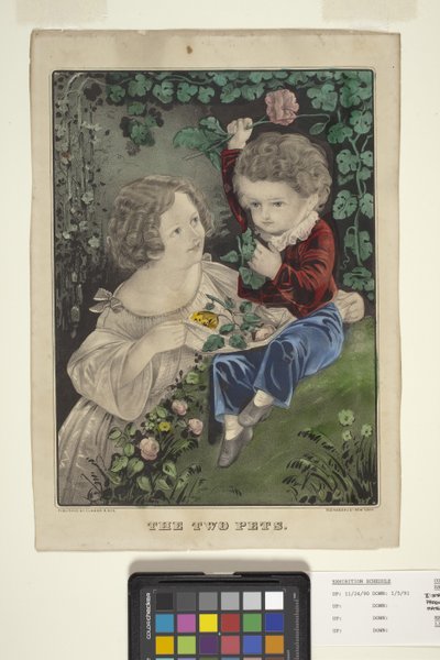Dva domácí mazlíčci (ručně kolorovaná litografie) od N. and Ives J.M. (1824 95) Currier