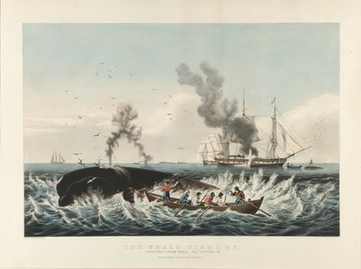 Lov velryb: Útok na vorvaně...a „zařezávání“ (barevná litografie) od Currier and Ives