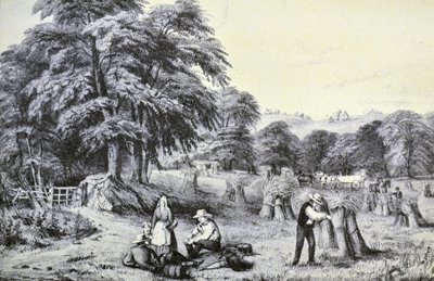 Currier & Ives ilustrace 19. století. Sklizeň od N. and Ives, J.M. Currier