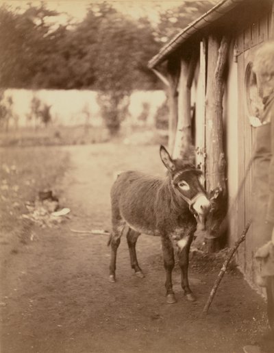Sénart, osel Biribi od Nadar [Gaspard Félix Tournachon]