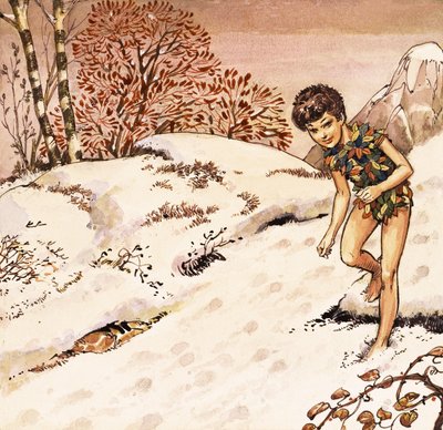 Peter Pan od Nadir Quinto