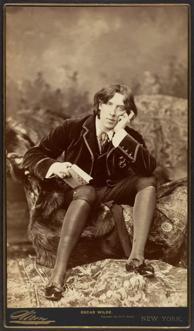 Oscar Wilde, 1882 (stříbrný tisk alba) od Napoleon Sarony