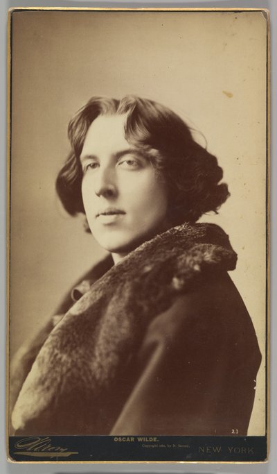 Oscar Wilde, 1882 (albumenový stříbrný tisk) od Napoleon Sarony