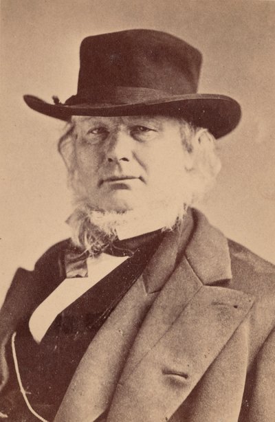 Portrét Horace Greeley 1811-1872, 1869. od Napoleon Sarony