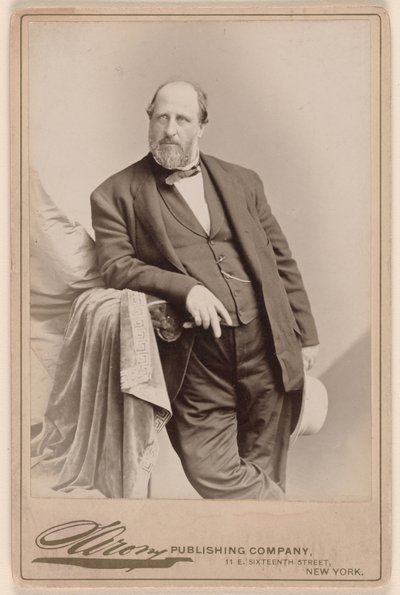 William Marcy Tweed od Napoleon Sarony
