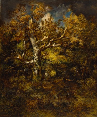 Les Fontainebleau, podzim od Narcisse Virgile Diaz de la Peña