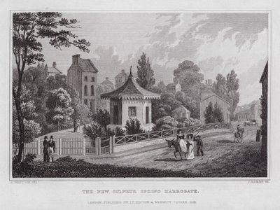 The New Sirphur Spring, Harrogate (rytina) od Nathaniel (after) Whittock