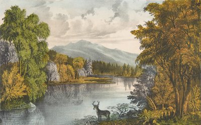 Moosehead Lake, Maine, 1857-72., 1857-72. Tvůrci: Nathaniel Currier, James Merritt Ives, Currier a Ives. od Currier and Ives