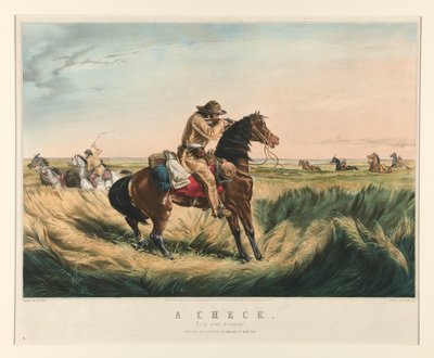Kontrola od Nathaniel Currier