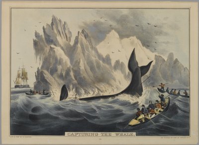 Zachycení velryby (ručně kolorované litho) od Nathaniel Currier