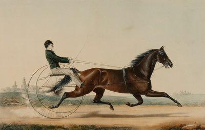Mac od Nathaniel Currier